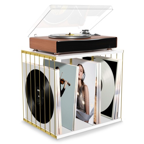 Emfogo vinyl record - vinyl, storage